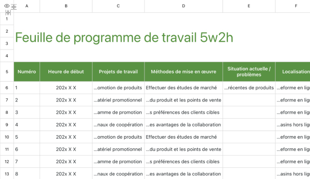 Feuille de programme de travail 5w2h